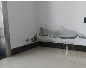 花都周邊專業防水補漏服務 全面解決廁所漏水、窗臺滲水與衛生間維修難題